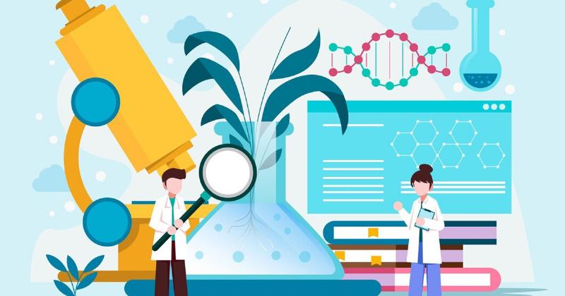 Hình ảnh minh họa các sai lầm trong phân tích kinh tế, ví dụ như chỉ nhìn một chiều, bỏ qua các yếu tố khác, hoặc nhìn vào dữ liệu không đầy đủ.